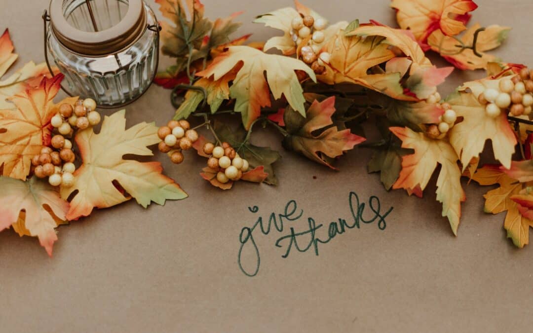 Packing Strategies for Thanksgiving: Making Room for Guests & Gratitude